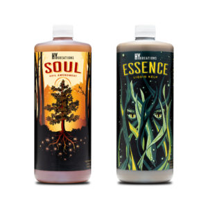 #1 Seller - Soul and Essence