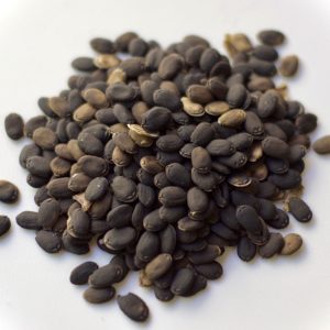 (Luffa aegyptiaca)- Luffa Seeds (10 Seeds)